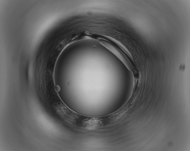 X0000091470383200708161404