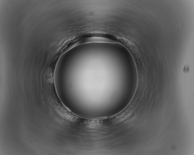 X0000091470384200708161404