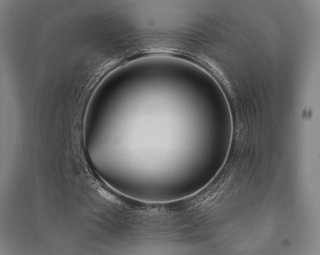 X0000091470385200708161403