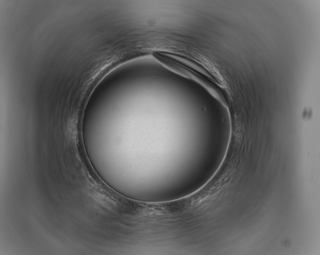 X0000091470386200708161403