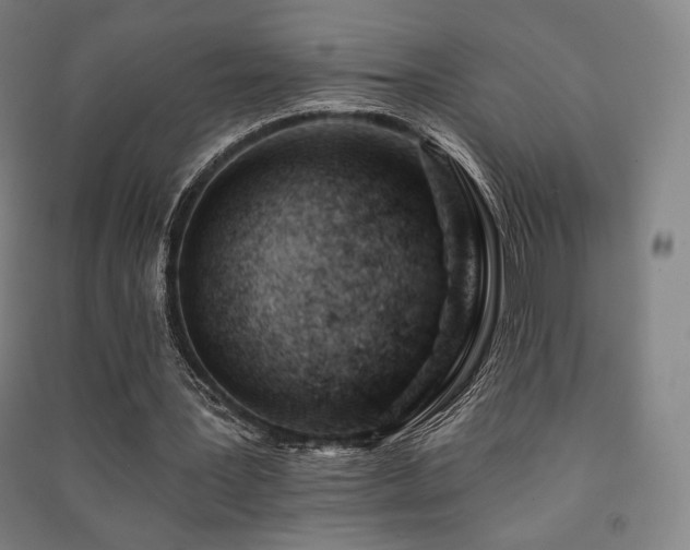 X0000091470387200708161403