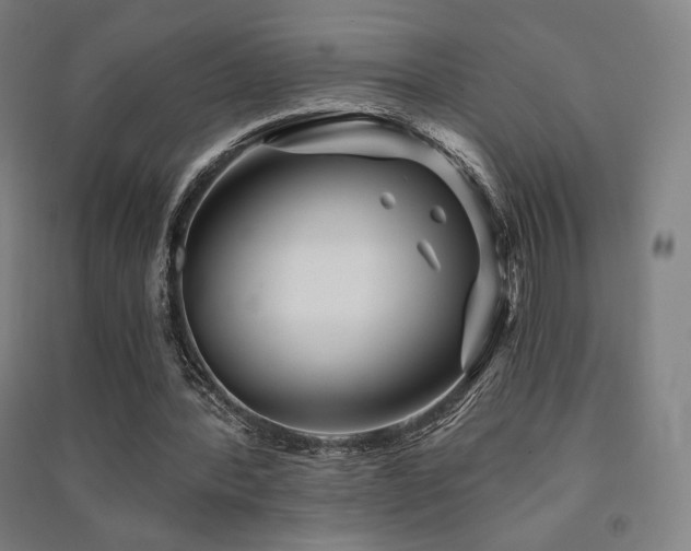 X0000091470388200708161403