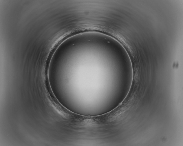 X0000091470390200708161403