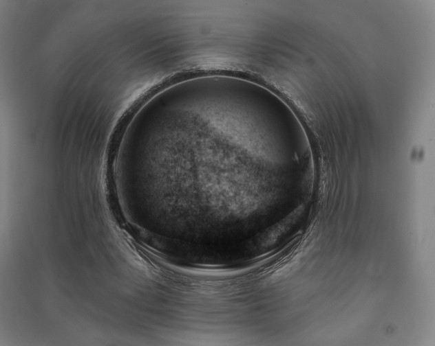 X0000091470391200708161403