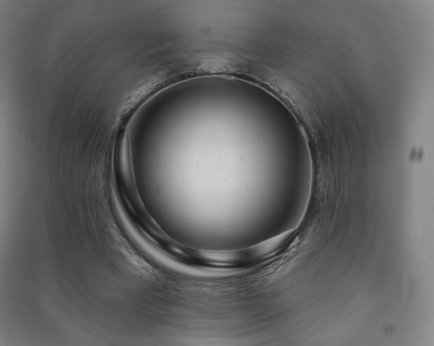 X0000091470393200708161403