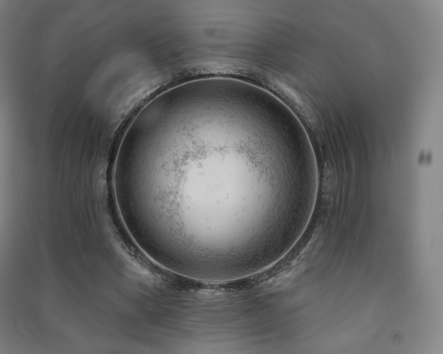 X0000091470394200708161403