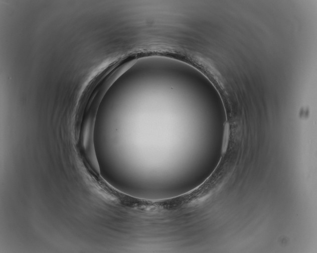 X0000091470395200708161403