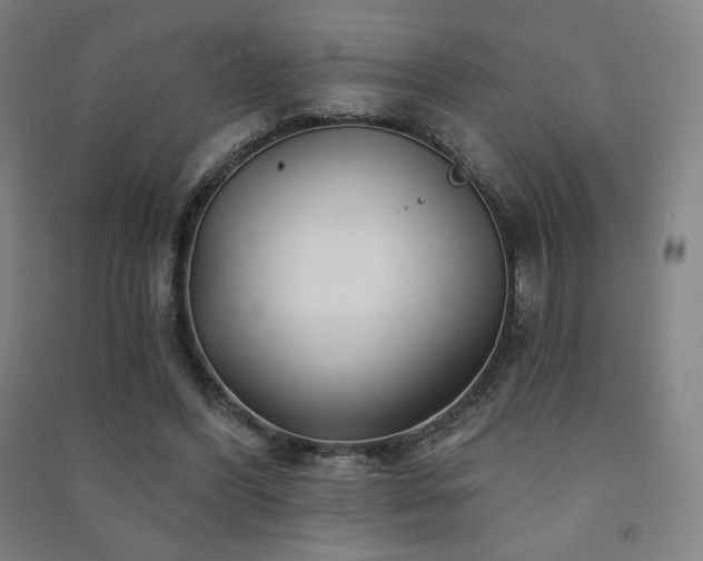 X0000091470396200708161403