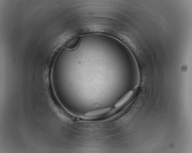 X0000091470398200708161403