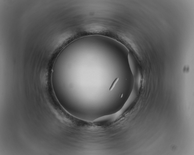 X0000091470400200708161403