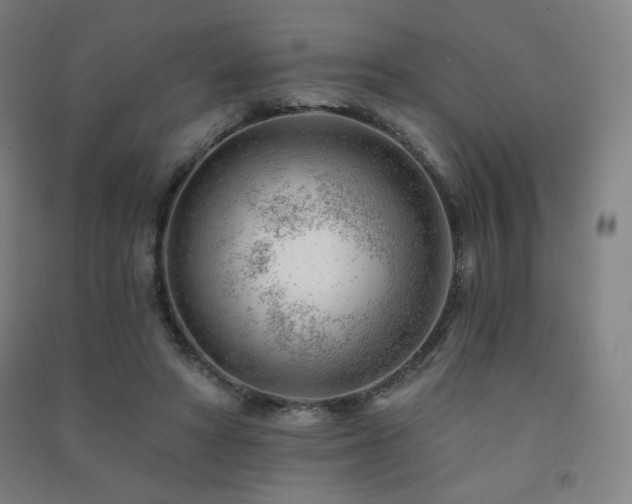 X0000091470402200708161403