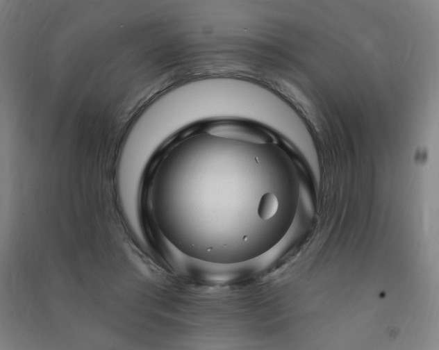 X0000091470405200708161403