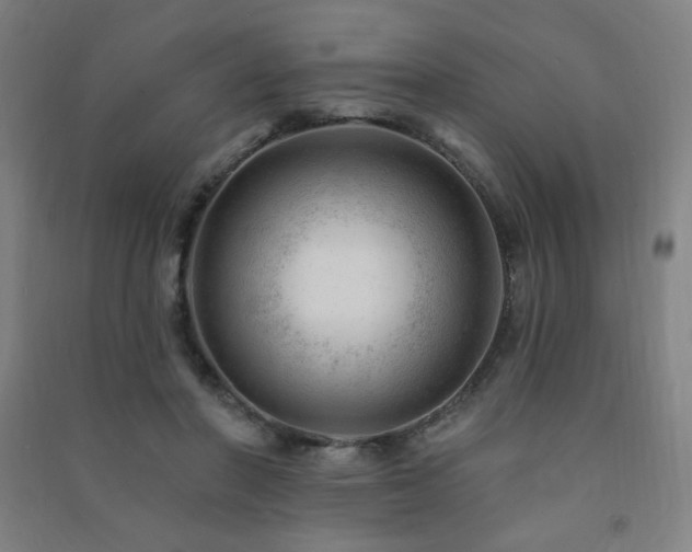 X0000091470406200708161403