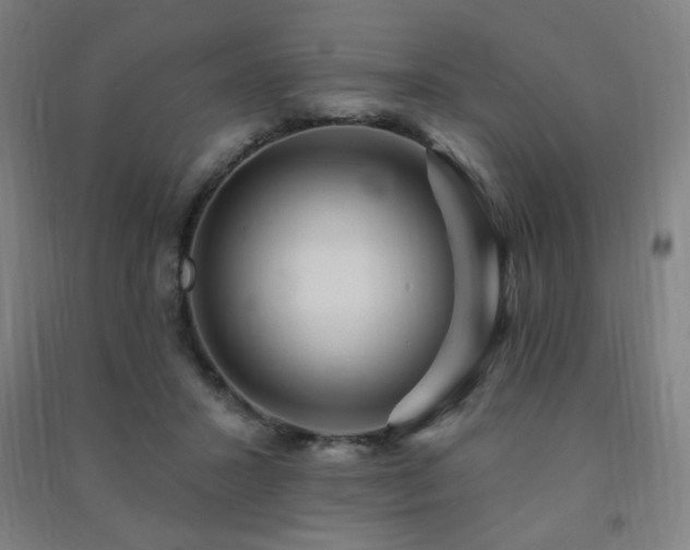 X0000091470407200708161403