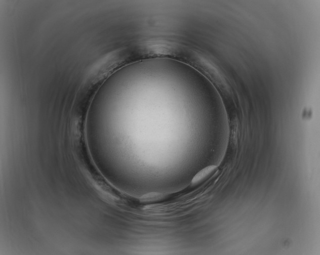 X0000091470410200708161403