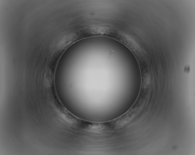 X0000091470414200708161403