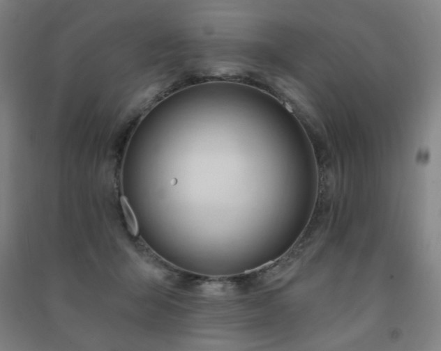 X0000091470415200708161403