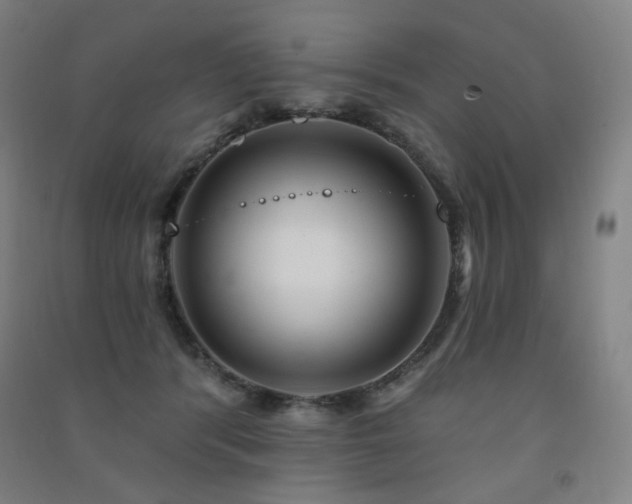 X0000091470416200708161403