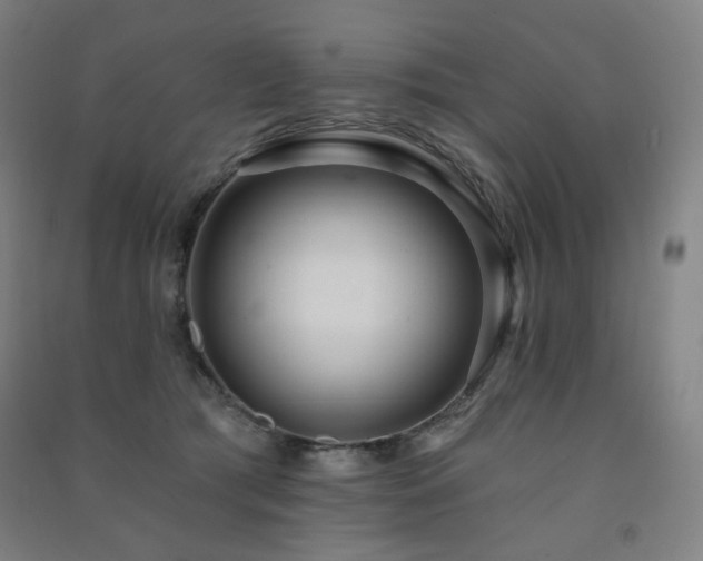 X0000091470417200708161403