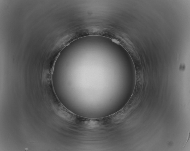 X0000091470419200708161403