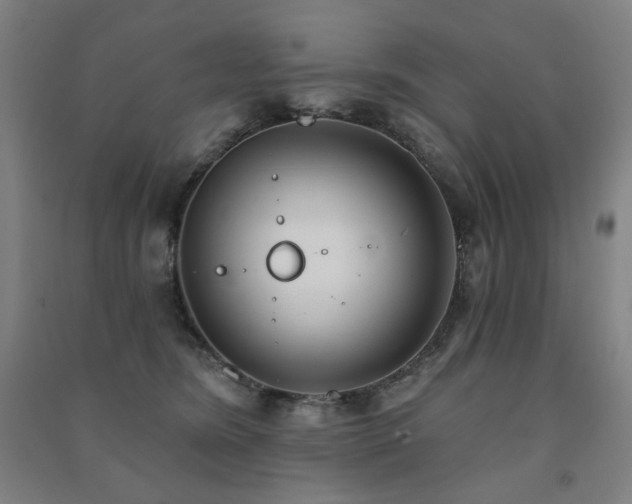 X0000091470420200708161403