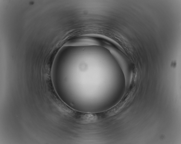 X0000091470421200708161403