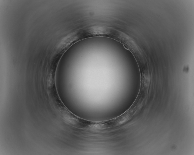 X0000091470422200708161403