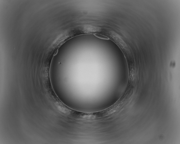 X0000091470426200708161402