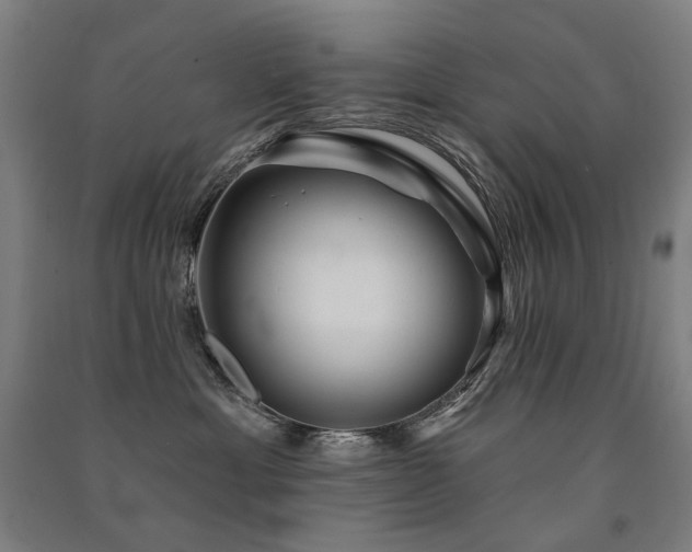 X0000091470429200708161402
