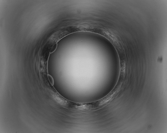 X0000091470430200708161402