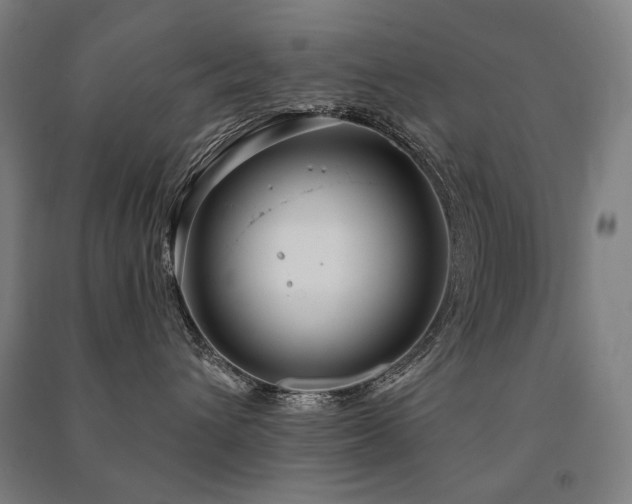 X0000091470432200708161402