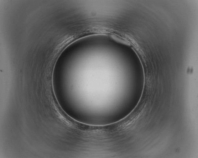 X0000091470433200708161402