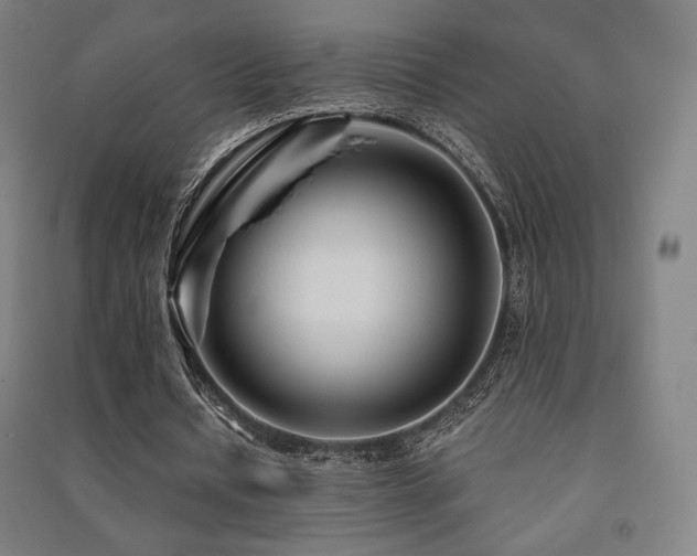 X0000091470434200708161402