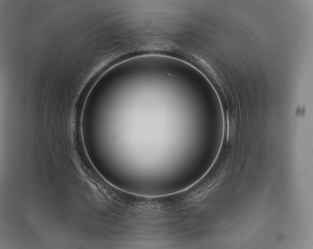 X0000091470435200708161402