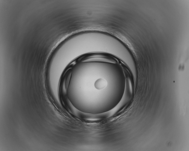 X0000091470436200708161402