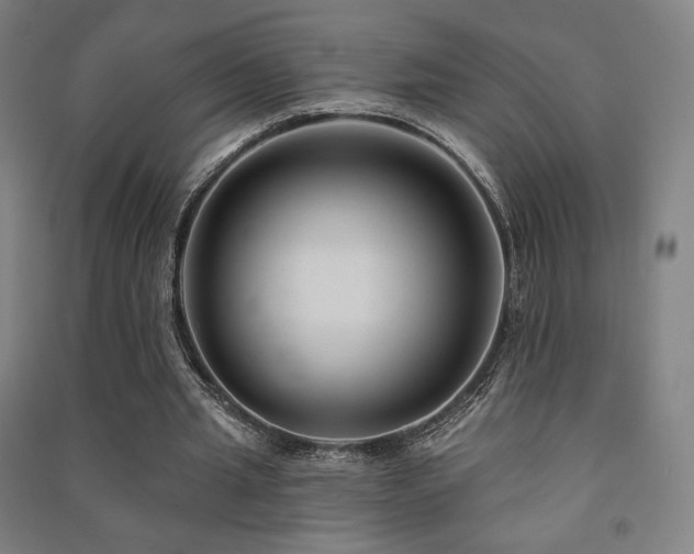 X0000091470437200708161402