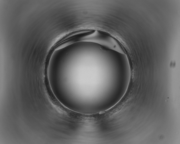 X0000091470438200708161402