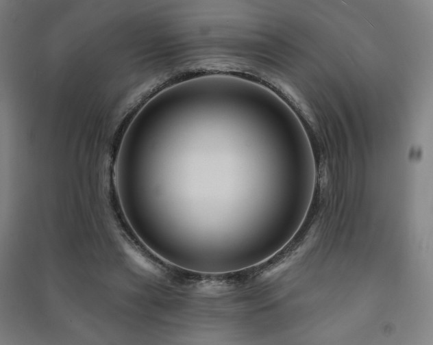 X0000091470445200708161402
