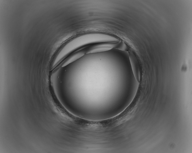 X0000091470446200708161402