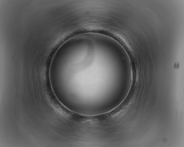 X0000091470447200708161402