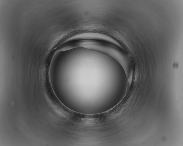 X0000091470448200708161402