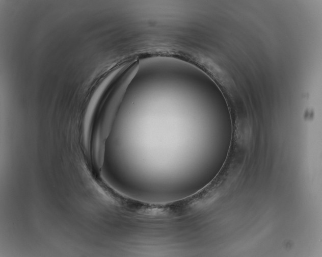 X0000091470449200708161402