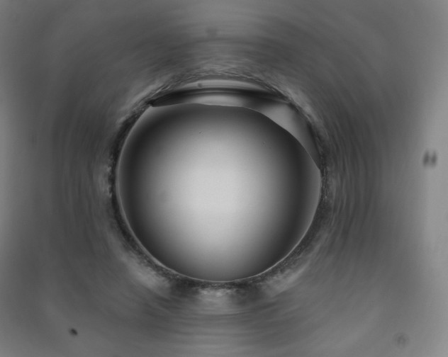 X0000091470450200708161402