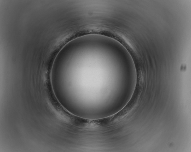 X0000091470451200708161402