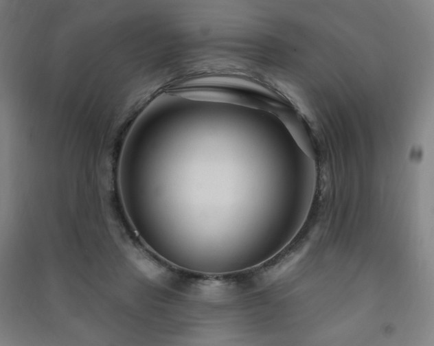 X0000091470453200708161402