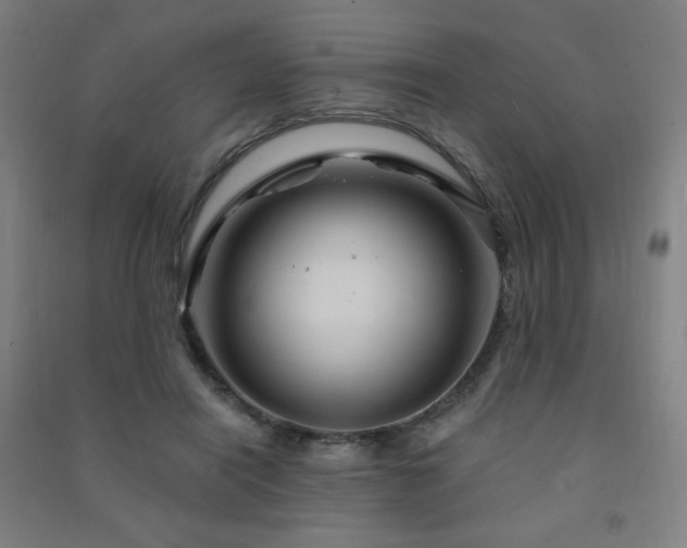 X0000091470454200708161402