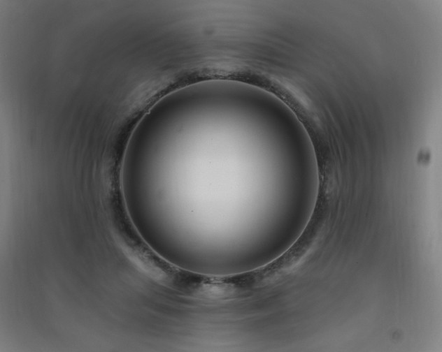 X0000091470455200708161402