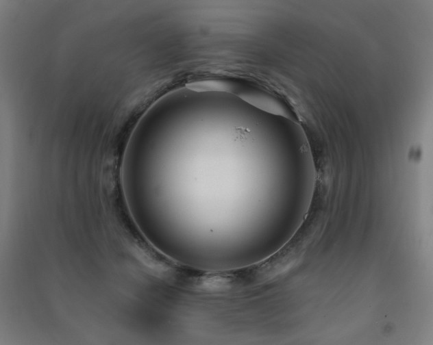 X0000091470462200708161402