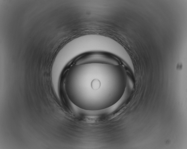 X0000091470464200708161402