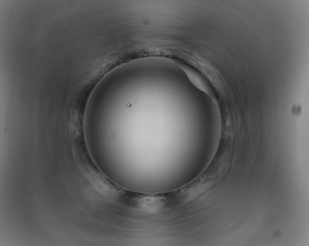 X0000091470465200708161402